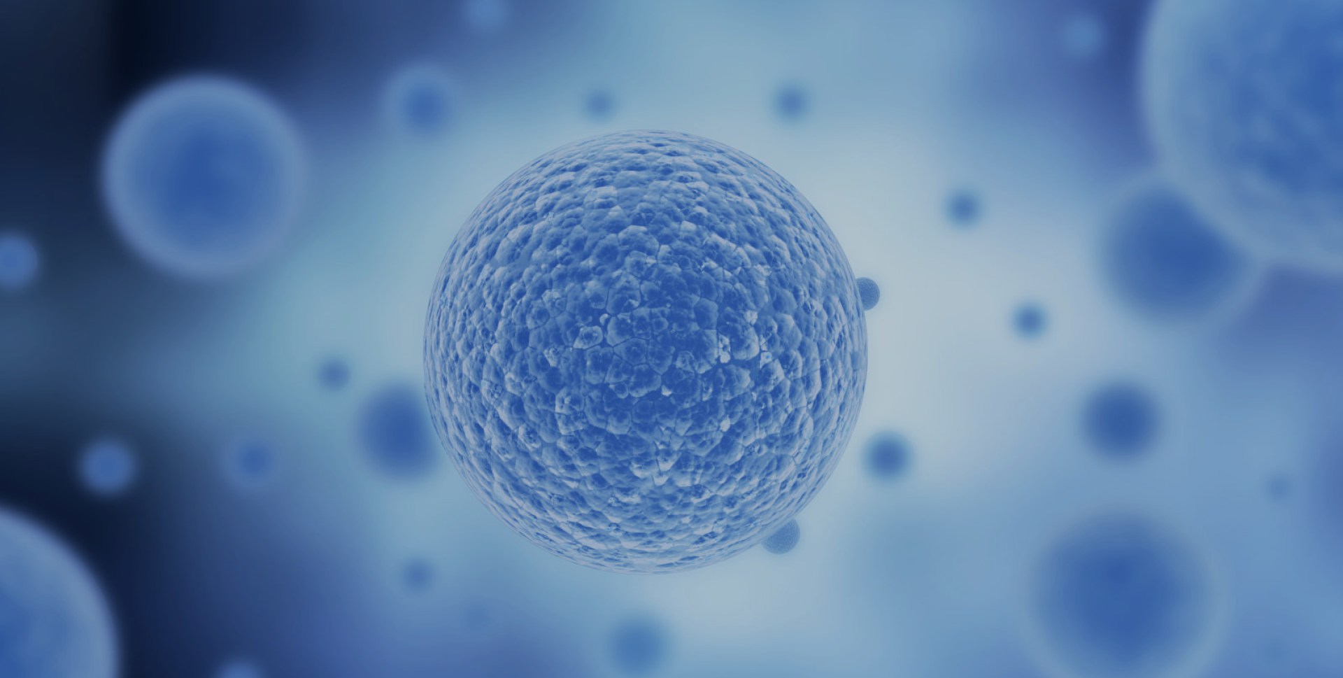 東富龍科技集團股份有限公司